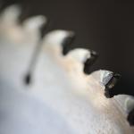 Amazon's Drone Delivery Expands to 100 Cities Across the US